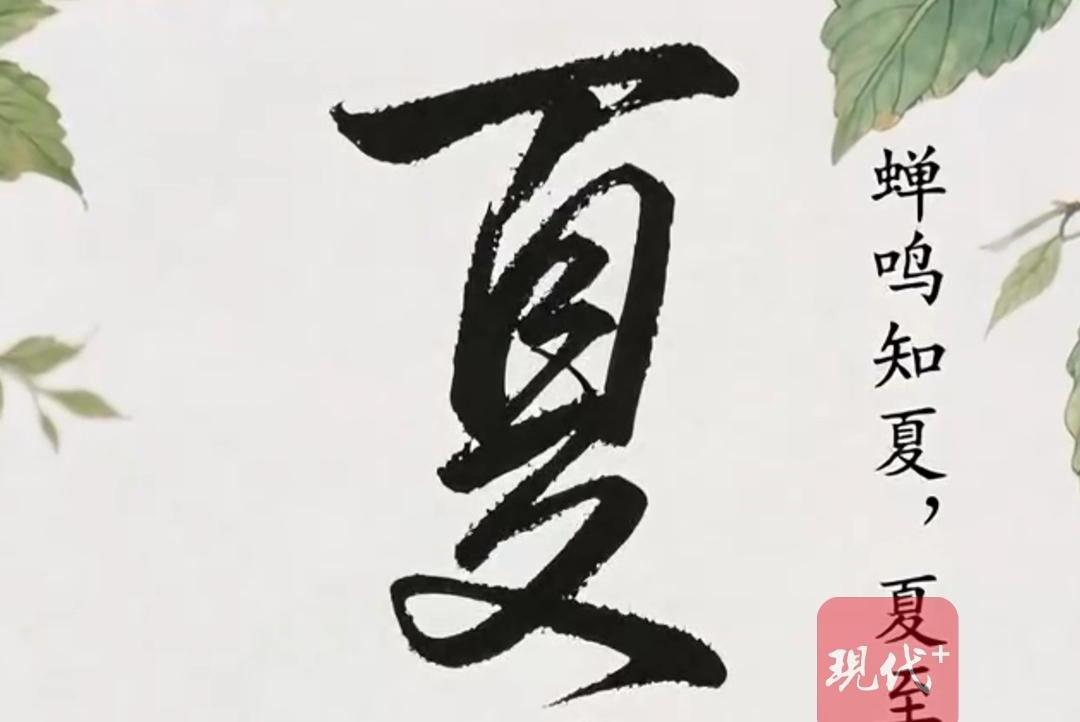 预览图