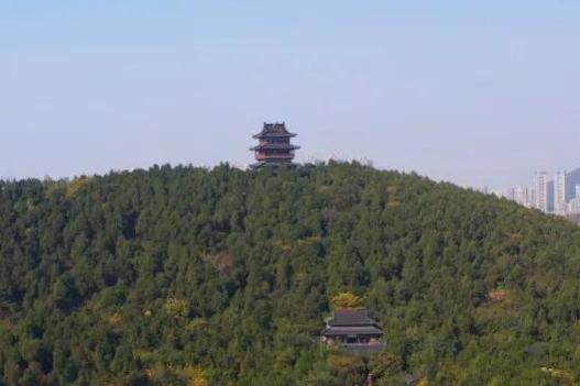 预览图
