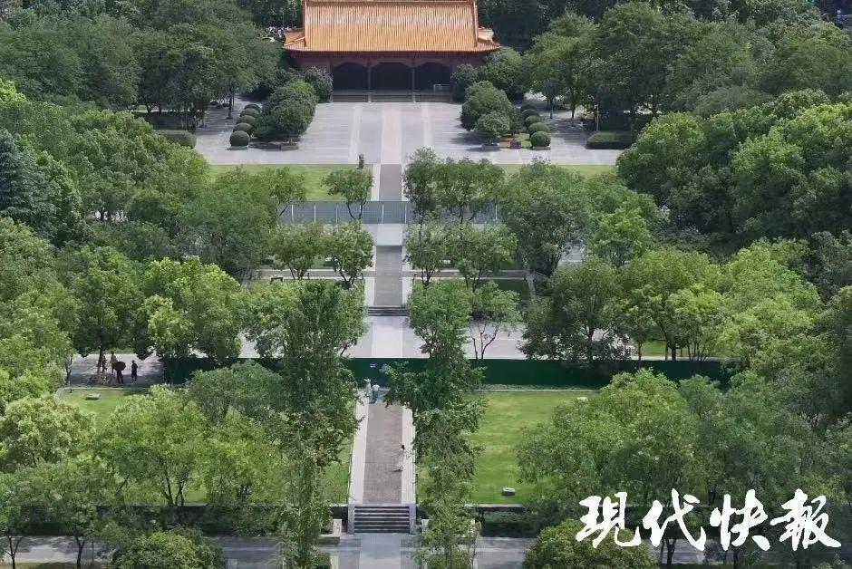 预览图