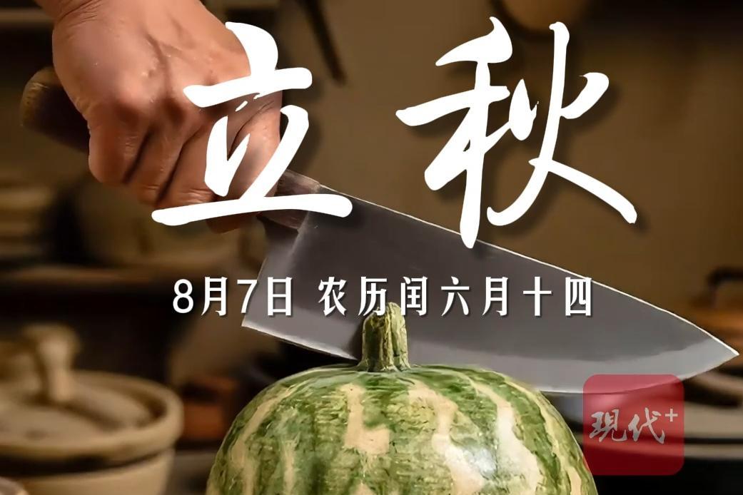 预览图